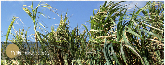 竹糖(ちくとう)とは